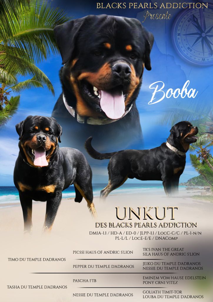 Unkut ( dit booba ) Des Blacks Pearls Addiction